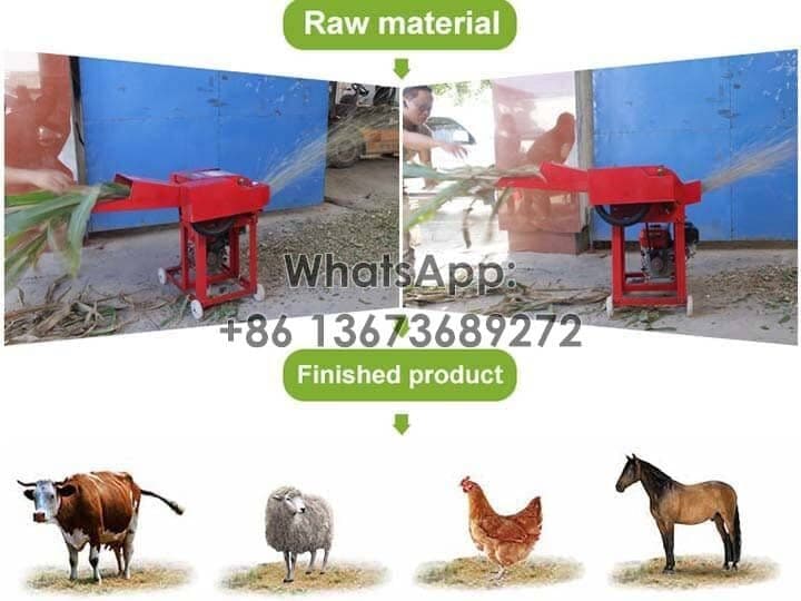 Applicable animals-mini chaff cutter